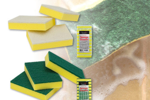 Bastion Scourer and Sponge Various